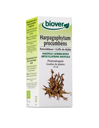 Harpagophytum procumbens